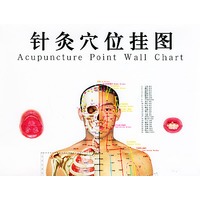 针灸穴位挂图－男性大