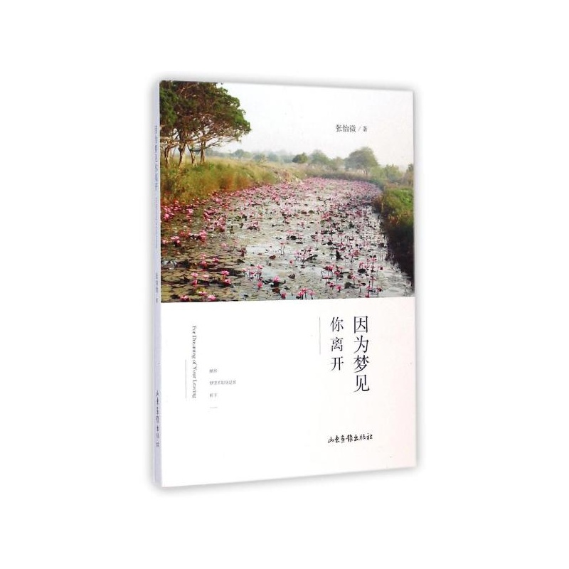 【因为梦见你离开\/张怡微作品 张怡微图片】高