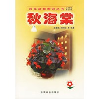 秋海棠——百花盆栽图说丛书