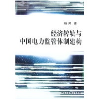 经济转轨与中国电力监管体制建构