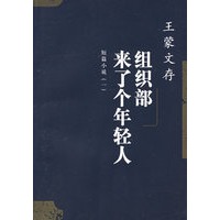组织部来了个年轻人 王蒙文存