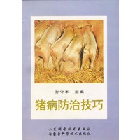 猪病防治技巧