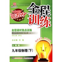 全程训练：九年级物理（下）人教版