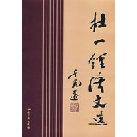 杜一经济文选
