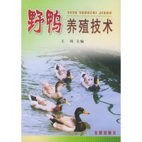 野鸭养殖技术