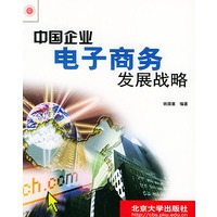 中国企业电子商务发展战略