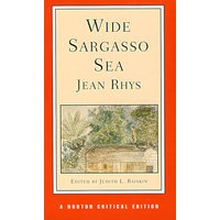 梦回藻海(诺顿世界文学评论系列)/Wide Sargasso Sea