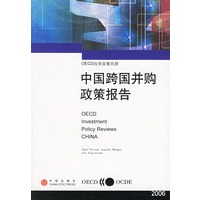 中国跨国并购政策报告