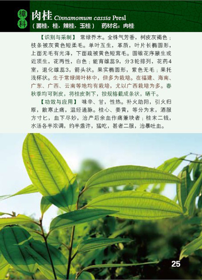 【正版全新】400种中草药野外识别图鉴_图书