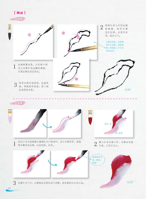 全新正版.无师自通学国画7:牡丹_图书杂志-艺术