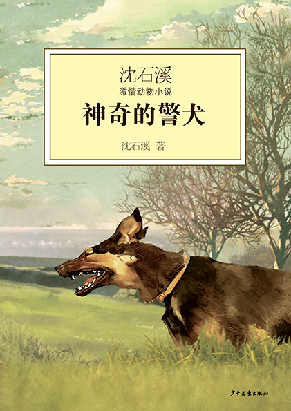 插图