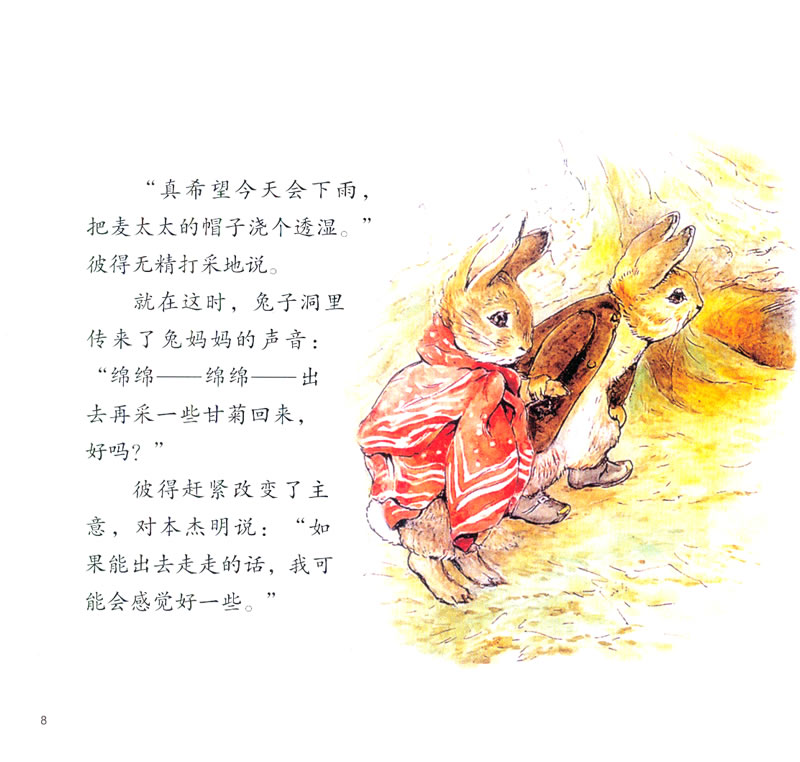 插图