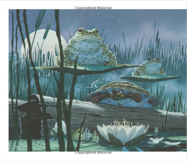 插图