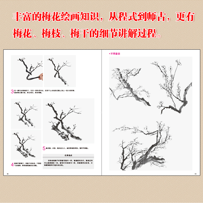 国画名师指导·写意花鸟——夏佩珊写意梅花技法(附1dvd光盘)