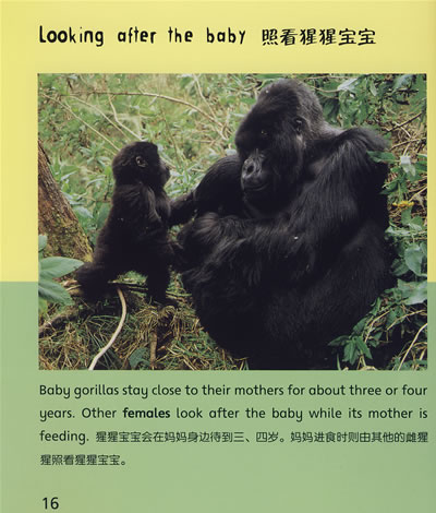 中国学生英语文库——山地大猩猩[当当]