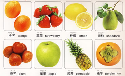 干货 种种常见蔬菜的英文辞汇汇总 含音标 图片 