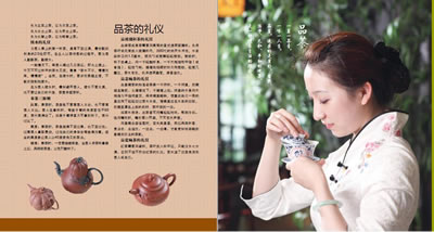 鉴茶?泡茶?品茶(附茶艺表演DVD光盘1张)(著名