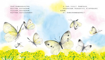 插图