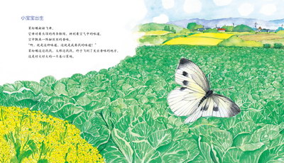 插图