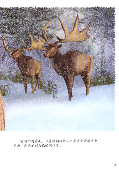 插图