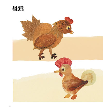 插图