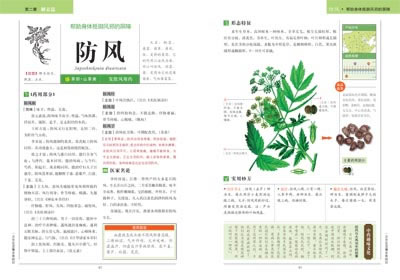 一次完全读懂本草纲目9787543055612李健著 专业
