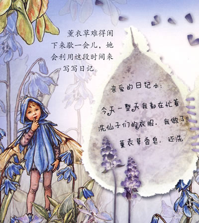 花仙子的故事—薰衣草仙子找朋友(全彩)