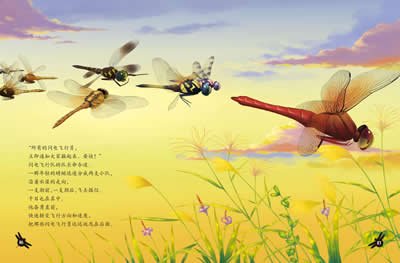 法布尔昆虫记4·蜻蜓:闪电飞行员(彩绘美图版)\/法布尔 (Fabre J.H.),新奇遇文化(插图作者):图书比价:琅琅比价网