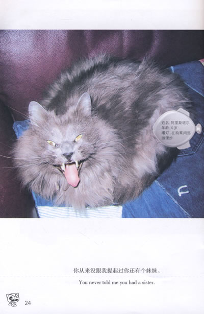 流氓猫:一个另类的猫咪王国-图书杂志-动漫\/幽