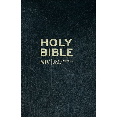 nivholy bible bible 圣经niv版本