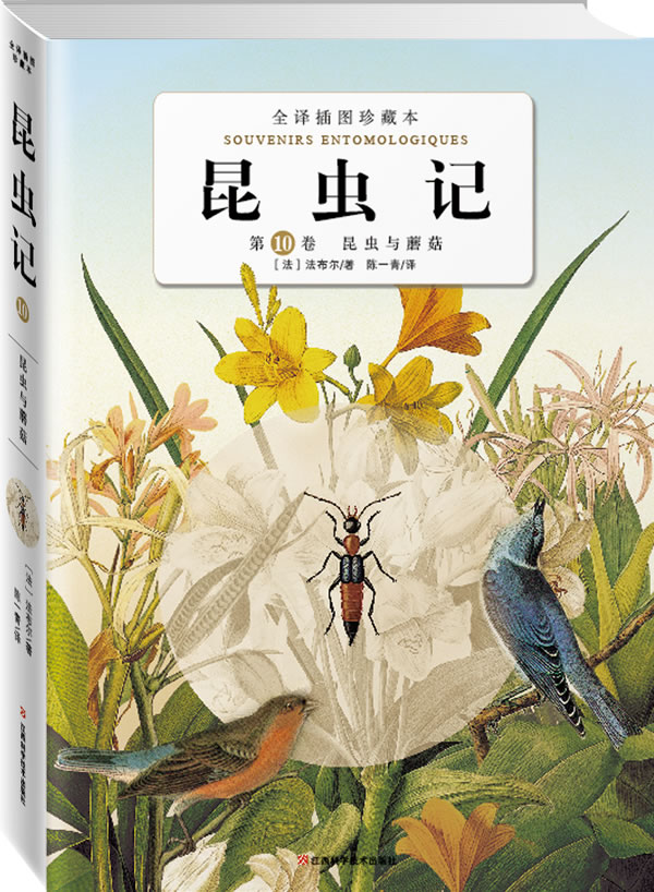 第十卷昆虫与蘑菇(中国唯一一部全译插图本《昆虫记》)/(法)法布尔 著