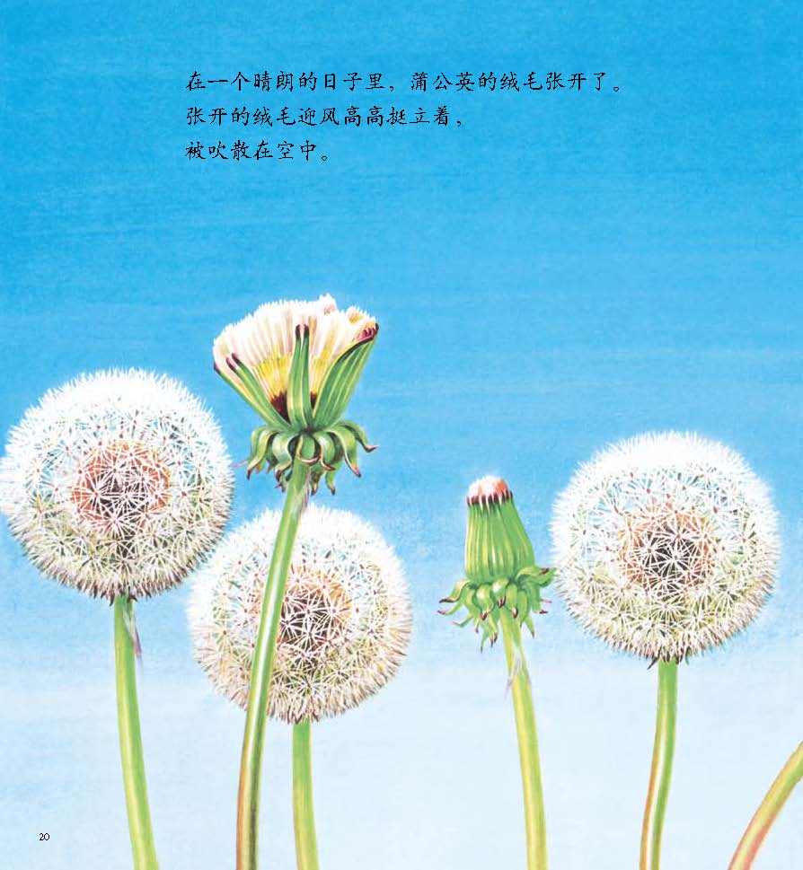 爱心树绘本书房