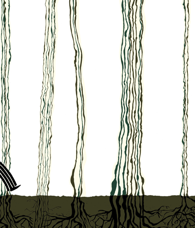 尚童童书:指挥家