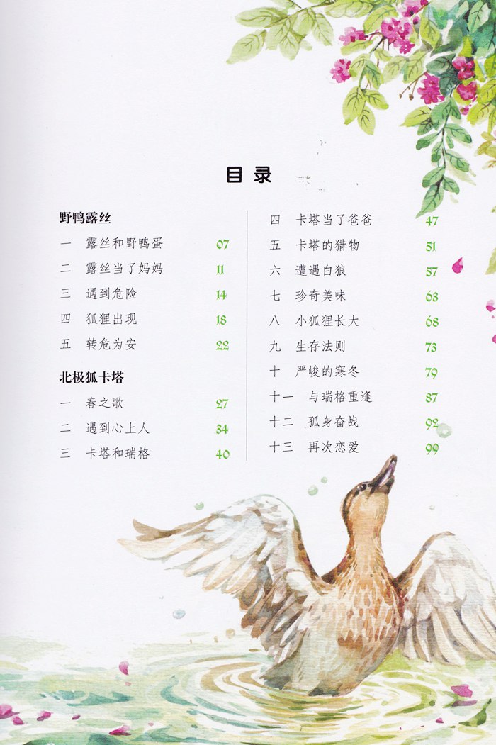 加入购物车   立即购买