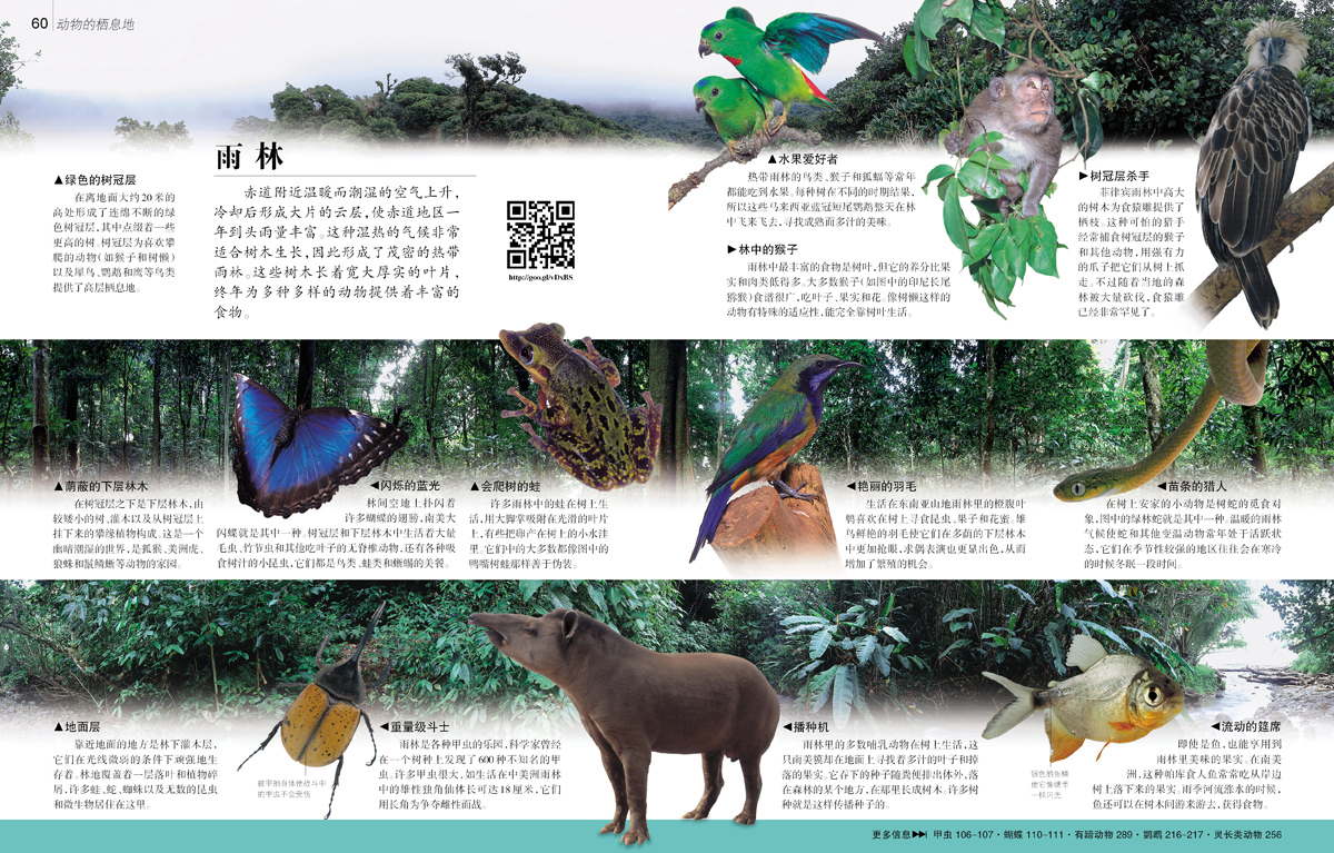 dk动物百科(217个词条,1200种动物,1600张照片,全球孩子都在读的动物