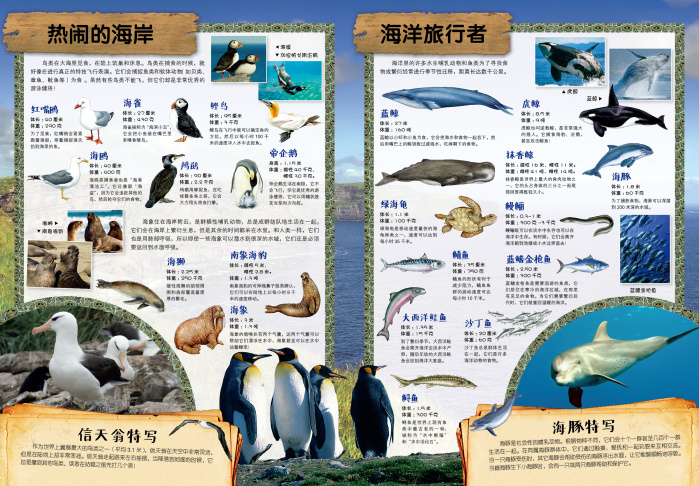 动物王国科普贴纸书:海洋