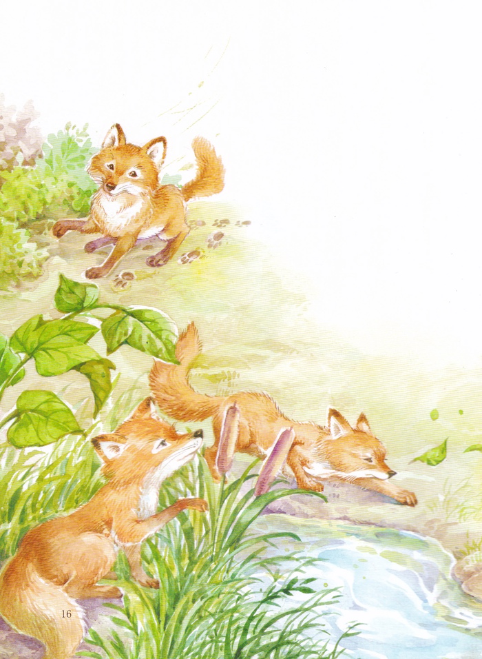 绘本西顿动物故事(全8册)